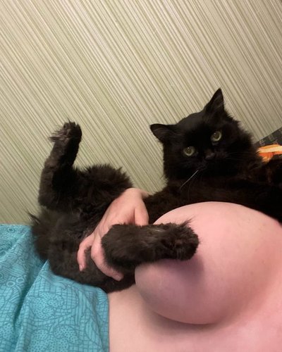 Katrlvinaa