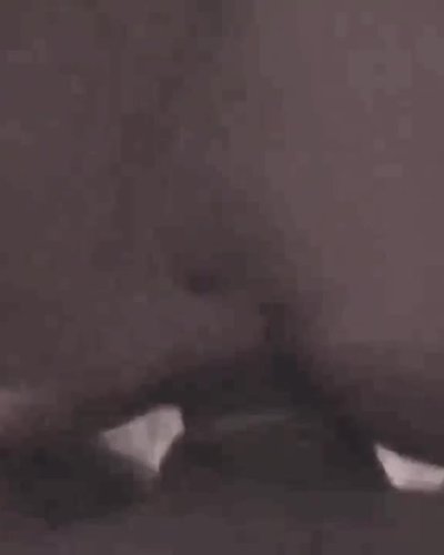Kitty Keettt