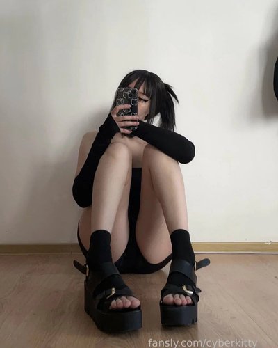 Cyber Kitty